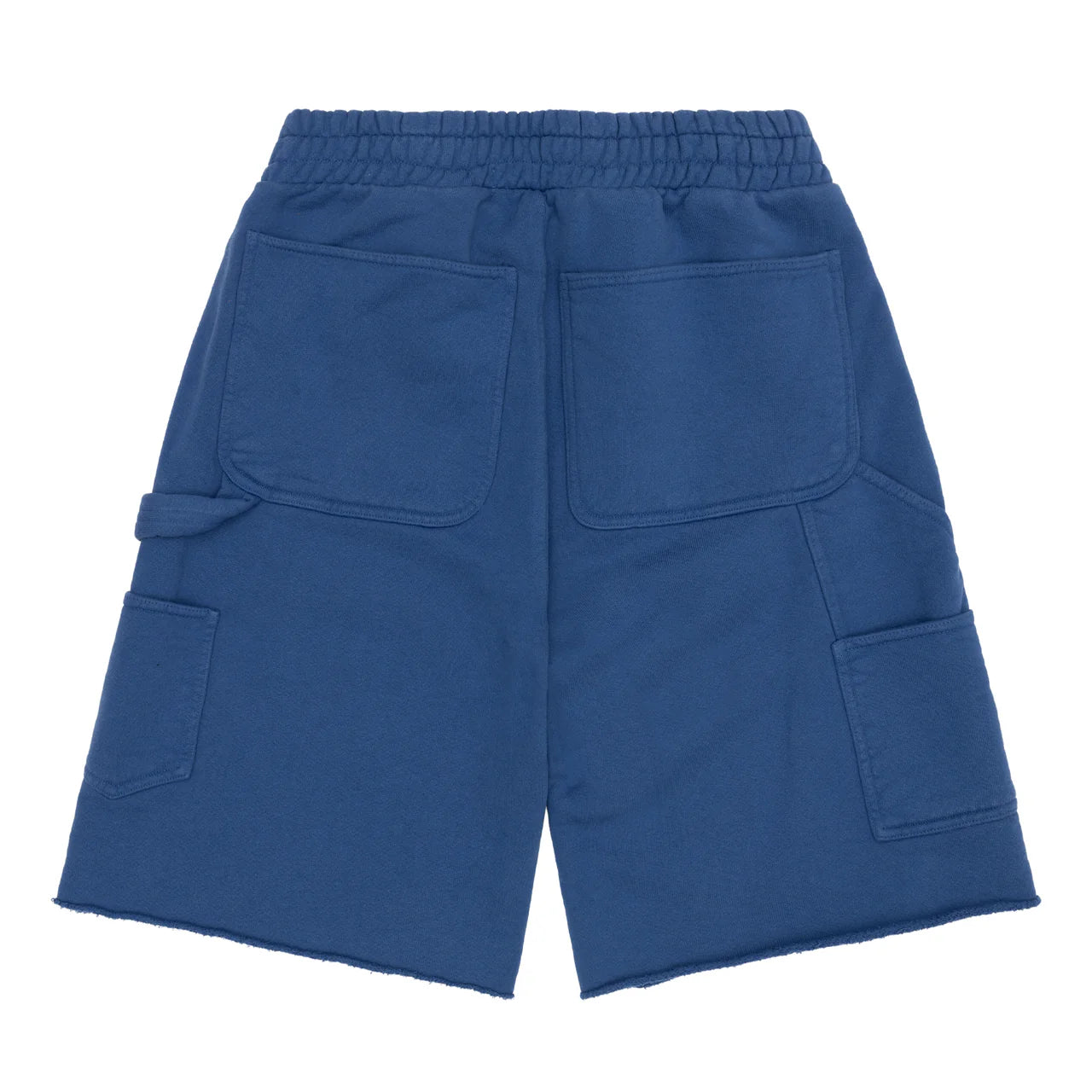 Sinclair Venice Beach Blue Shorts