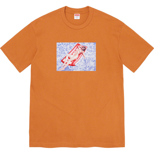 Supreme Float Brown Tee